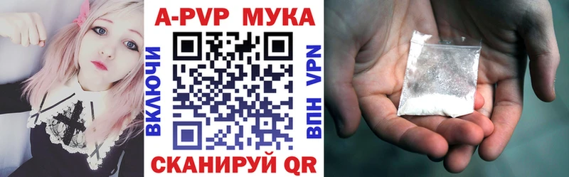 купить   Шуя  дарк нет клад  A PVP СК 