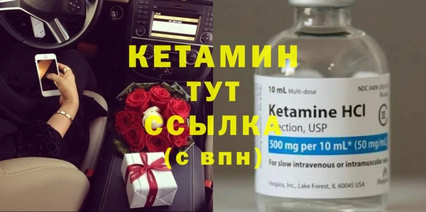прущие грибы Балабаново