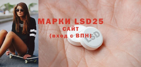 прущие грибы Балабаново
