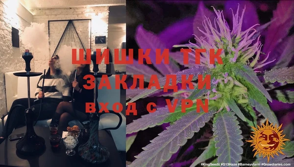 прущие грибы Балабаново