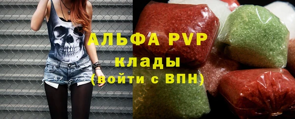 прущие грибы Балабаново