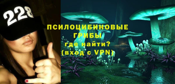 гидра Балахна