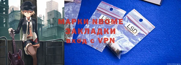 прущие грибы Балабаново