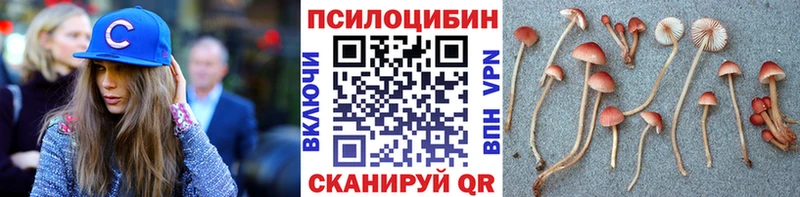 кракен как войти  Шуя  Псилоцибиновые грибы прущие грибы 